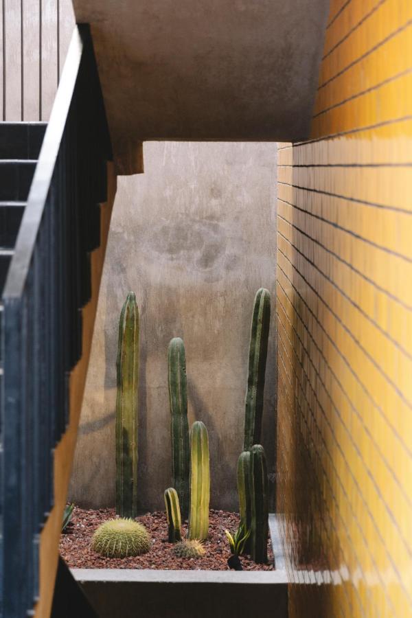 Hotel Casa Hoyos - Boutique