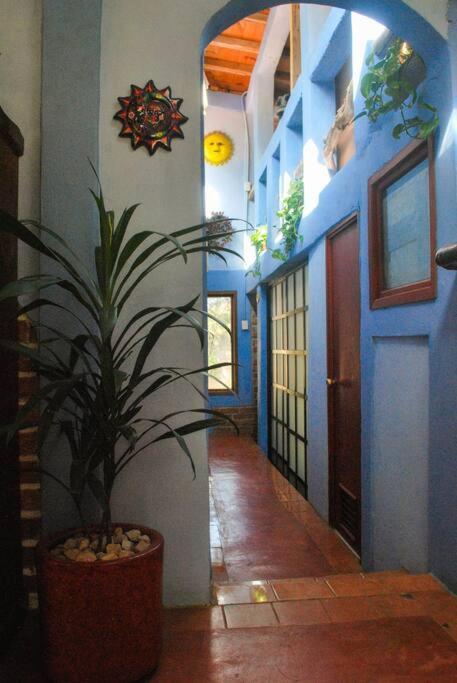 Casa 4 Estaciones, Coliving & Nature Hostel