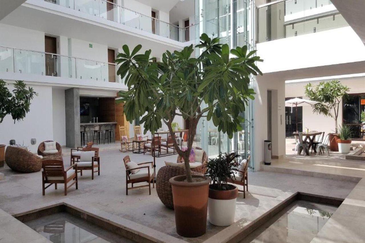 Hotel Catedral