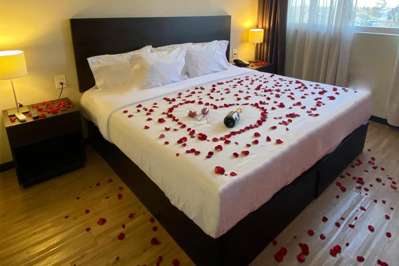 Hotel Comfort San Luis Potosi