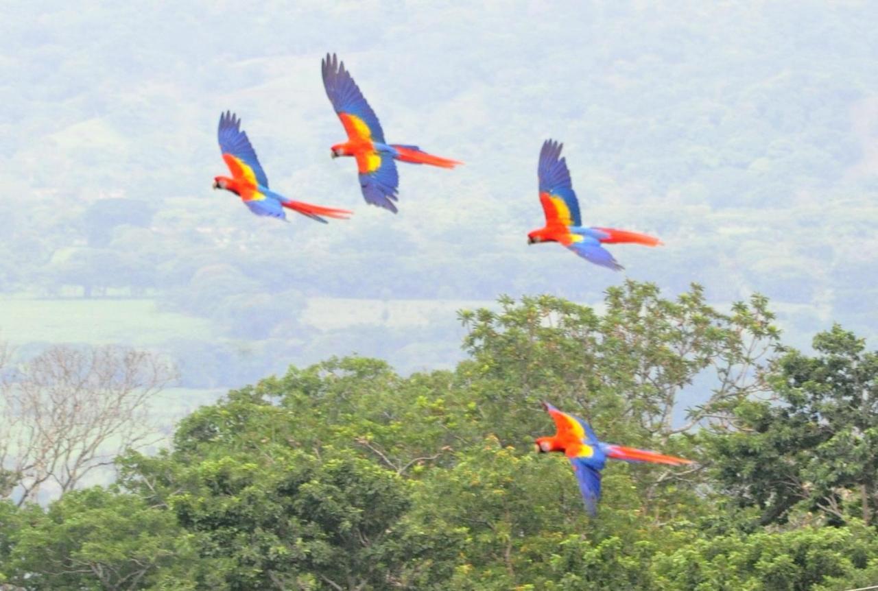 Ecobiosfera * Catemaco