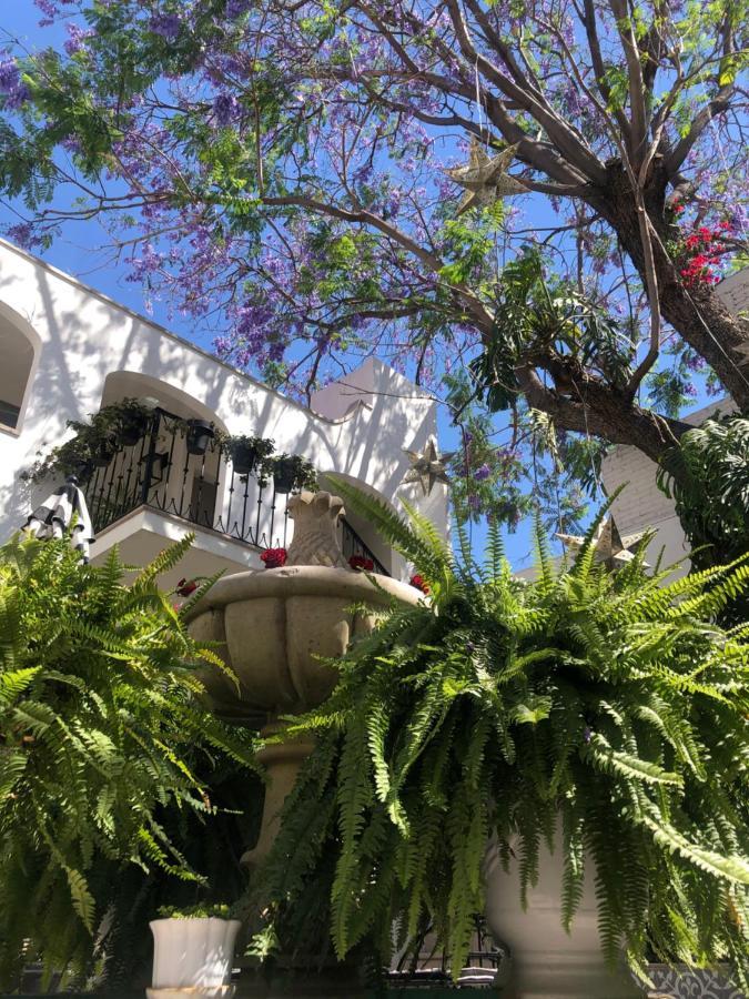 Casa Lani Luxury Bed & Breakfast