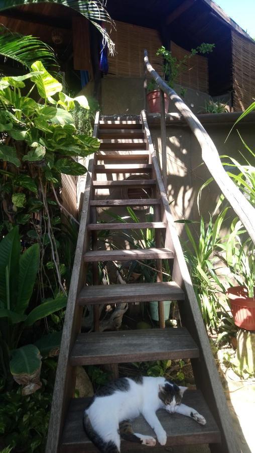 Castillo Oasis 2* Zipolite