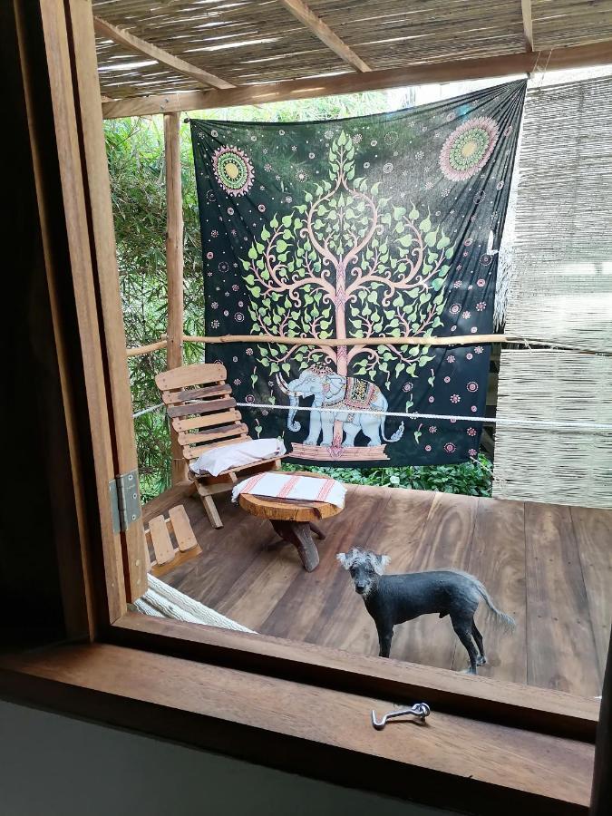 Guest house Castillo Oasis Zipolite