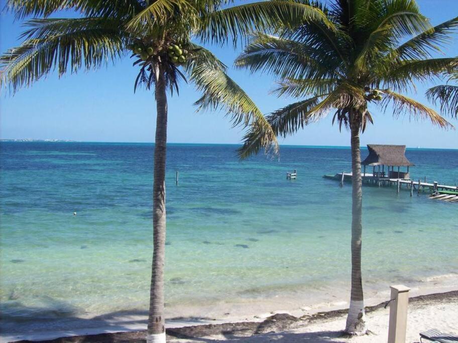 A La Orilla Del Mar Puerto Juarez Apartment Cancun