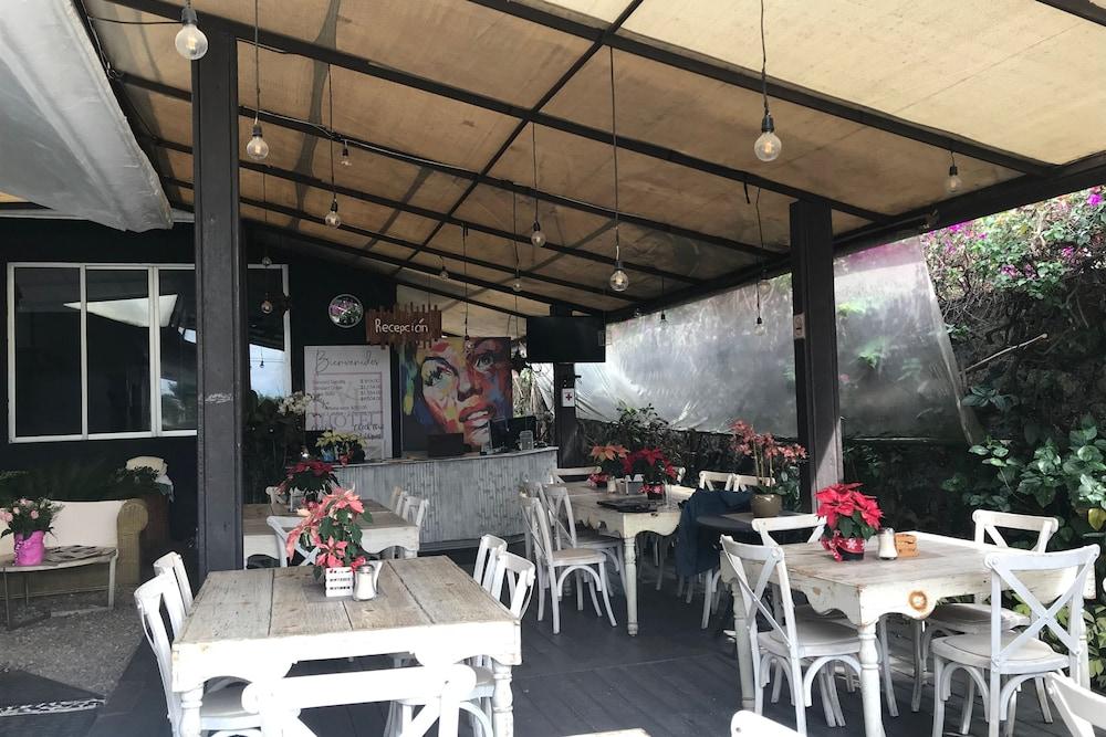 Vf Hotel Cuernavaca