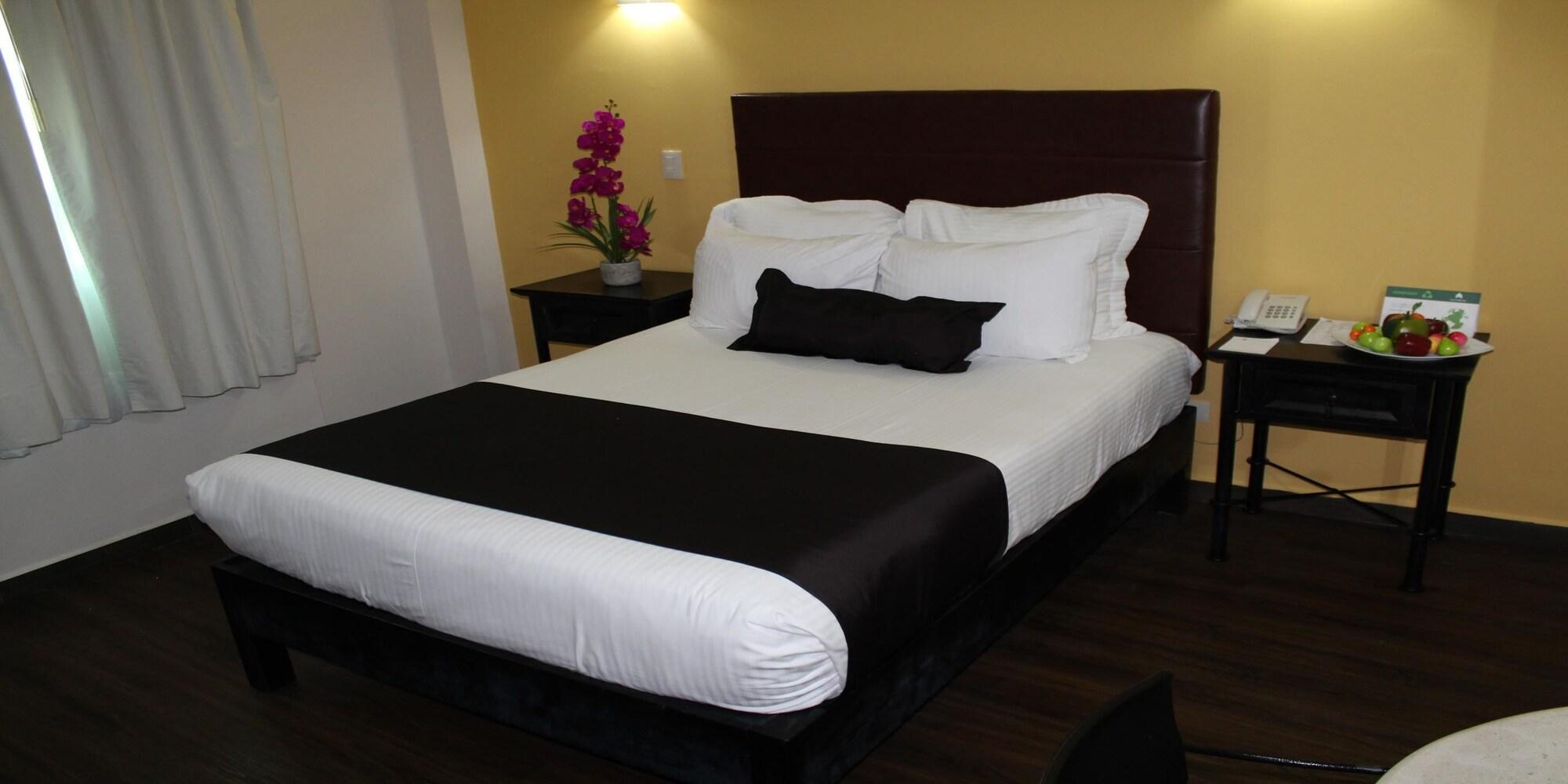Plaza Poblana Hotel Puebla