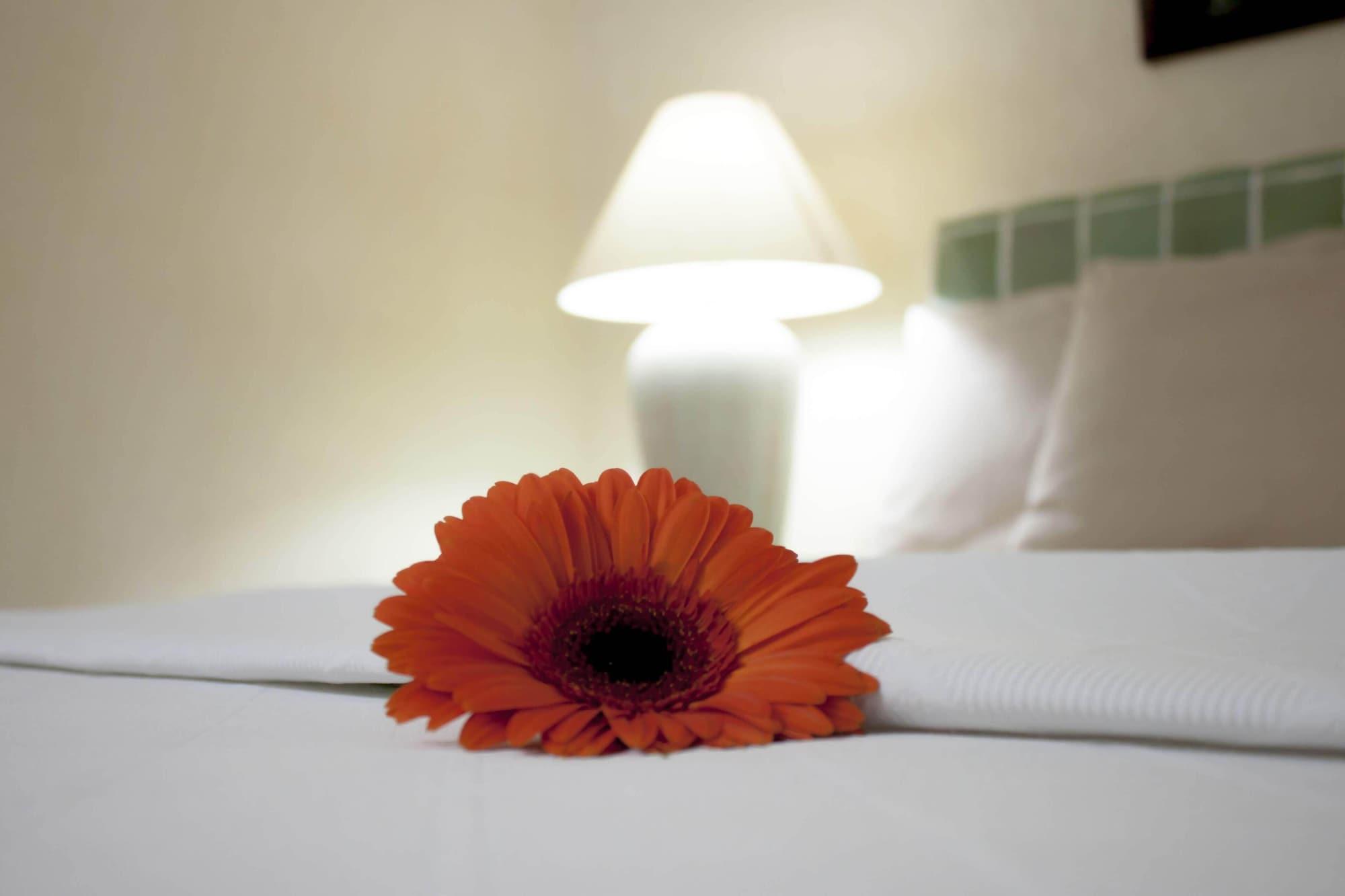 Hotel Coral Ixtapa