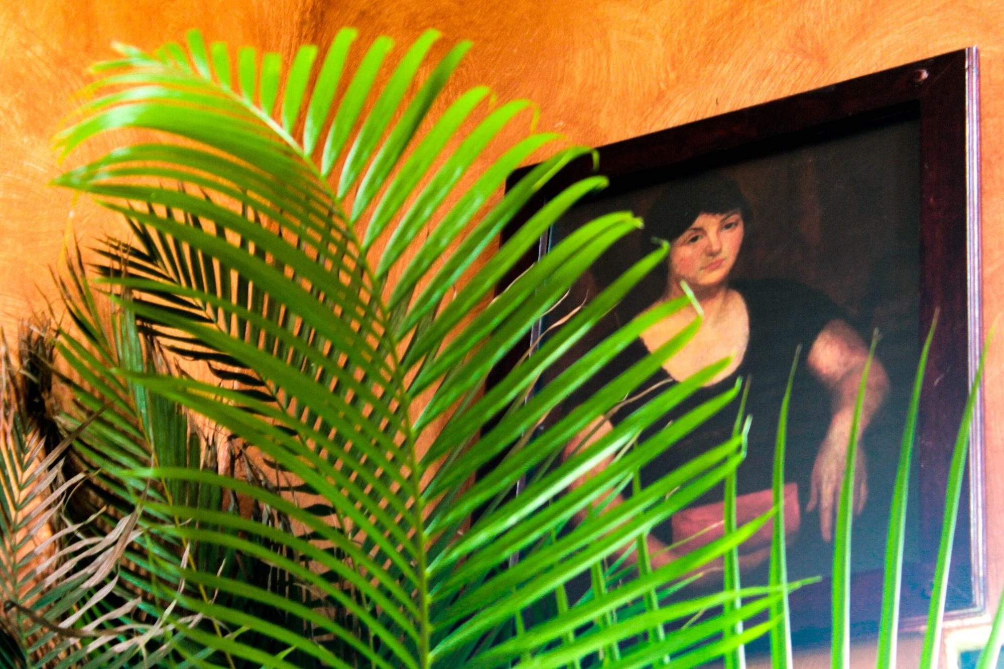 Hotel Y Paraiso Del Sur