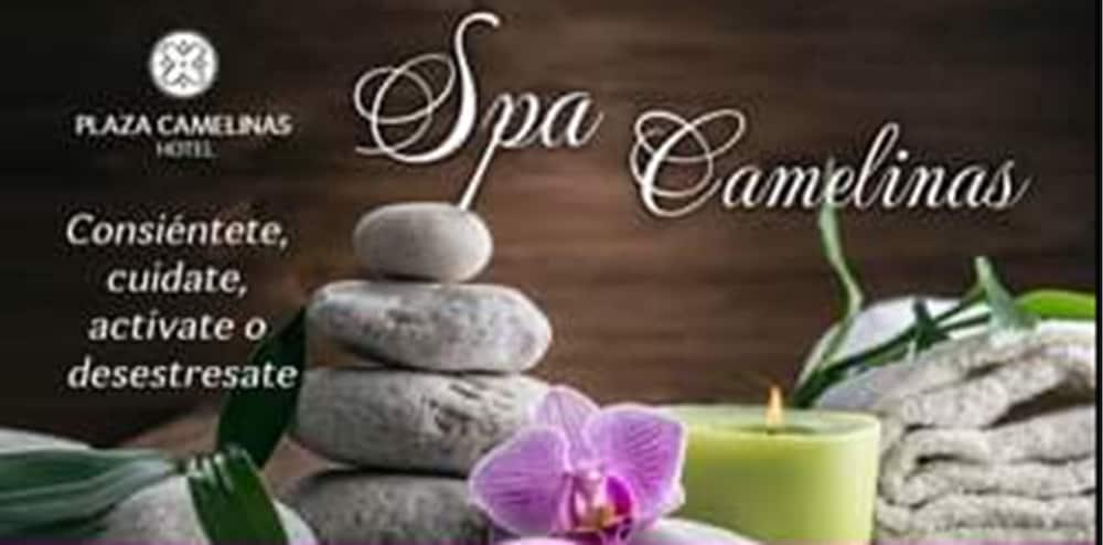 Hotel Plaza Camelinas 4*