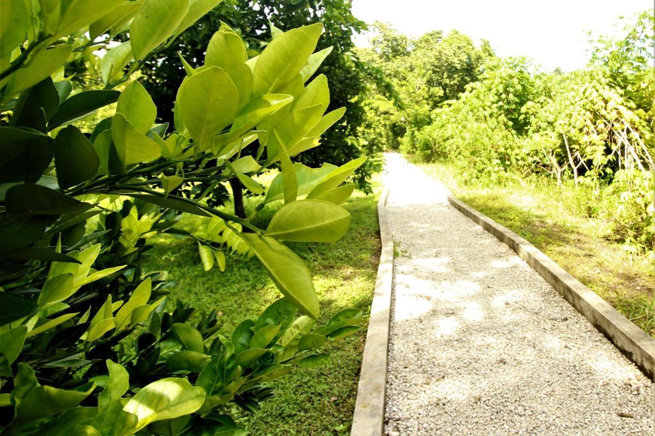 Kin Balam Palenque