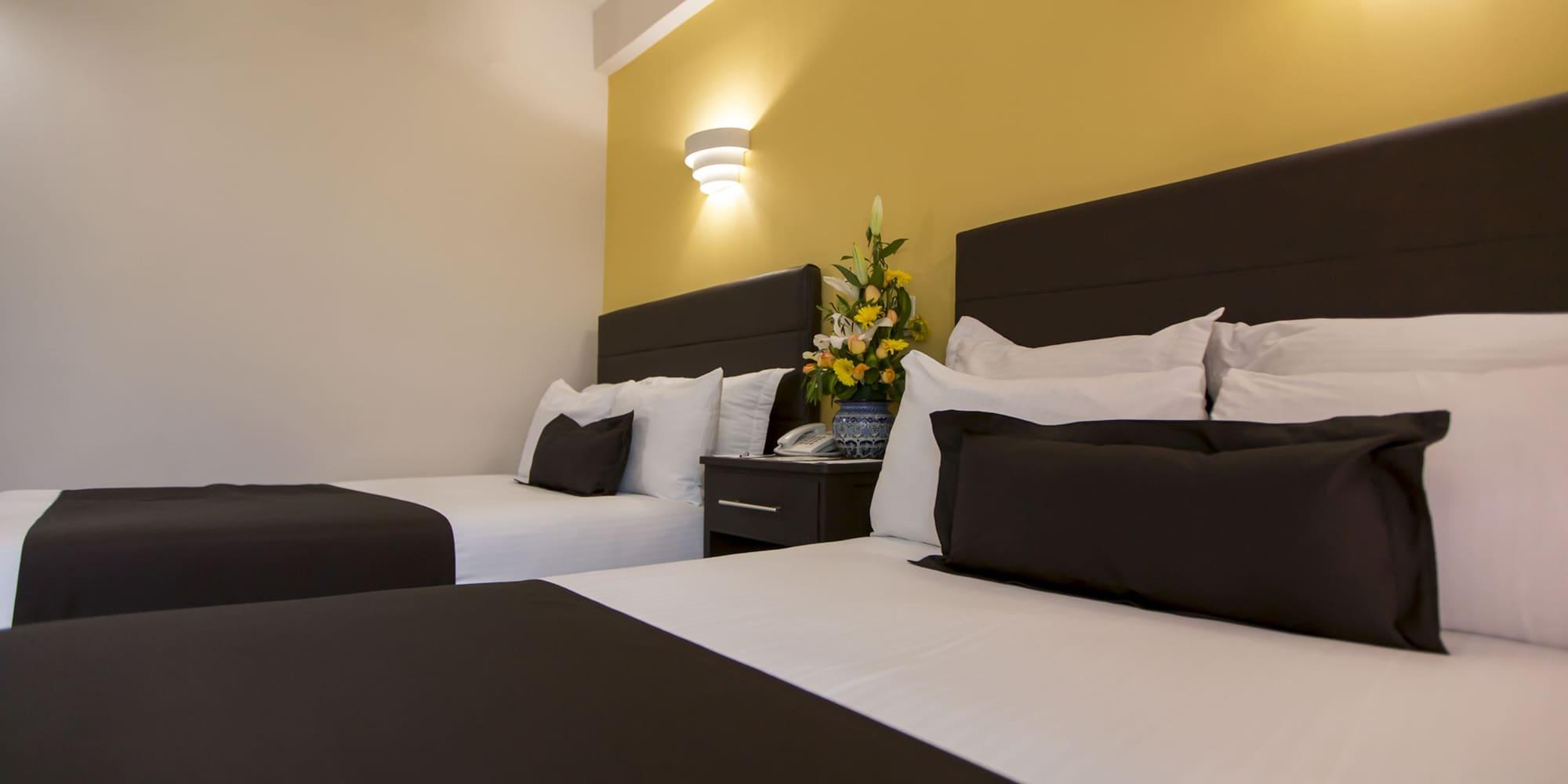 Hotel Plaza Poblana
