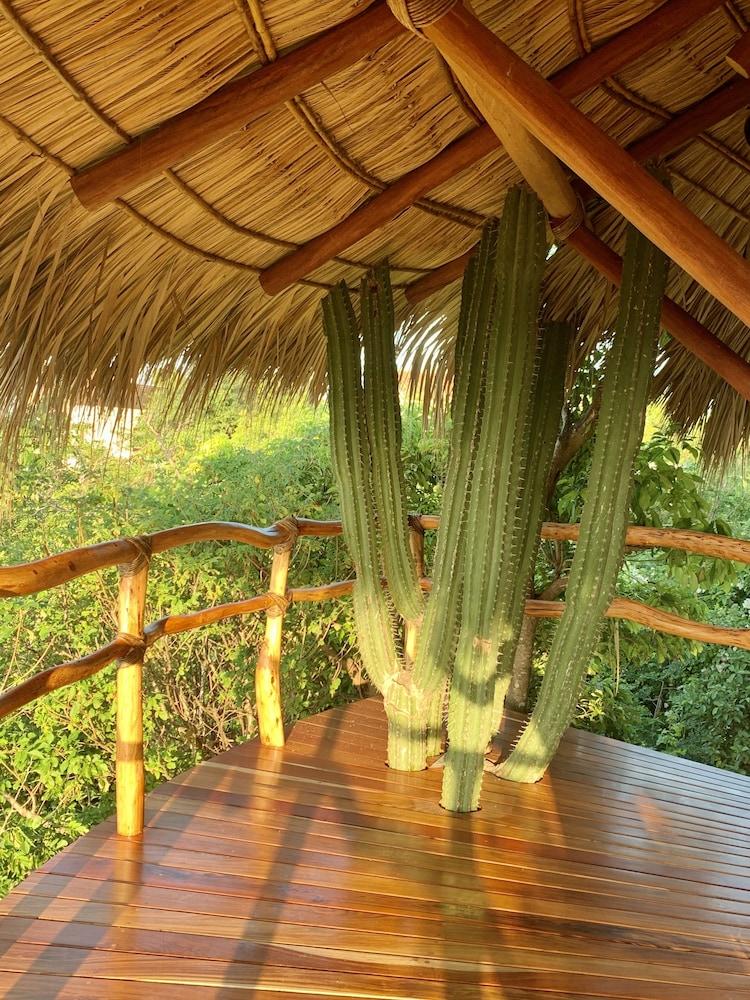 Zoa - Adults Only 5* Mazunte