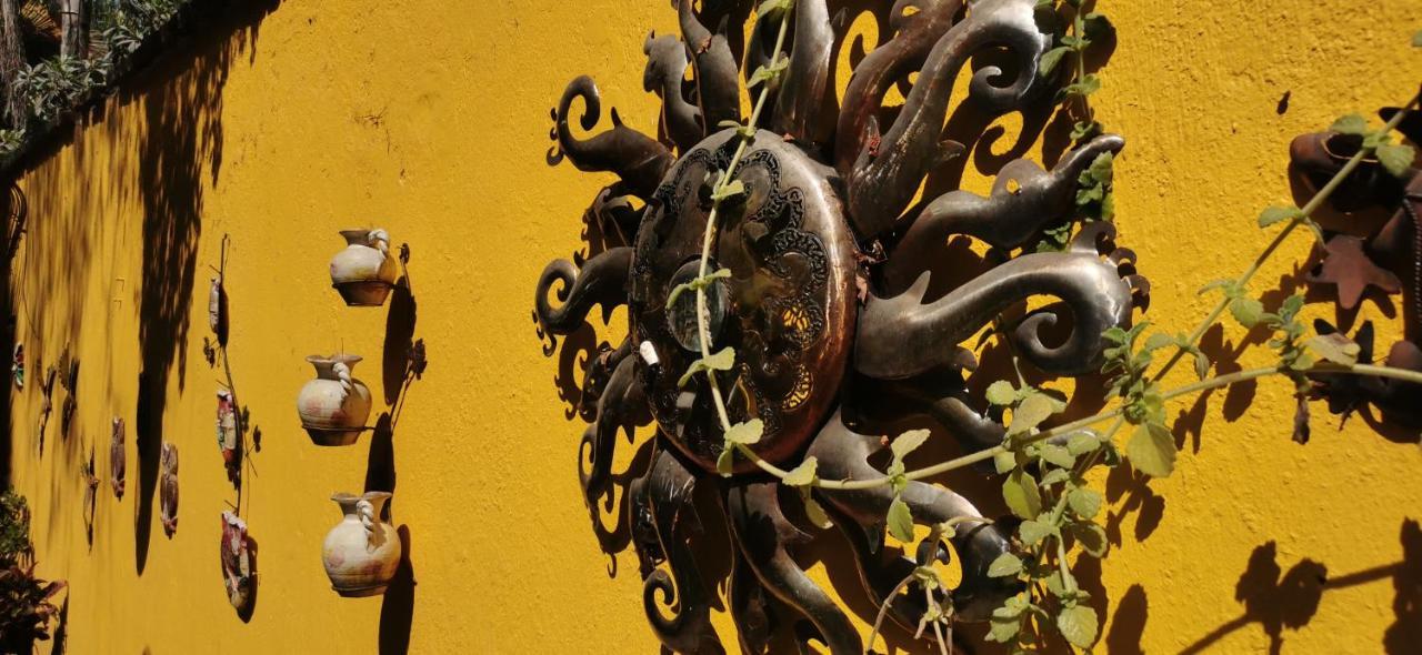 Bed & Breakfast Rosa Morada