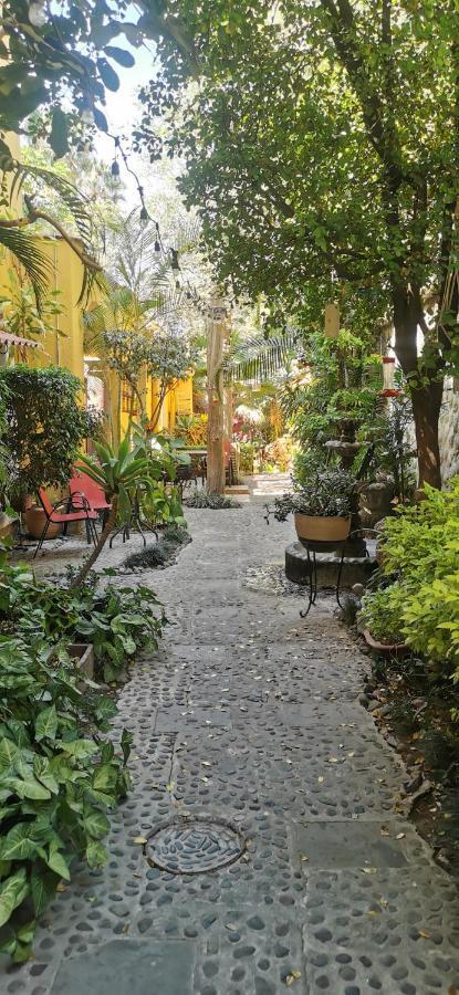 Bed & Breakfast Rosa Morada 4*