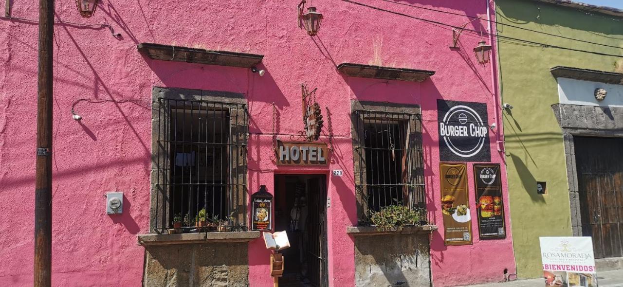 Rosa Morada 4* Tlaquepaque