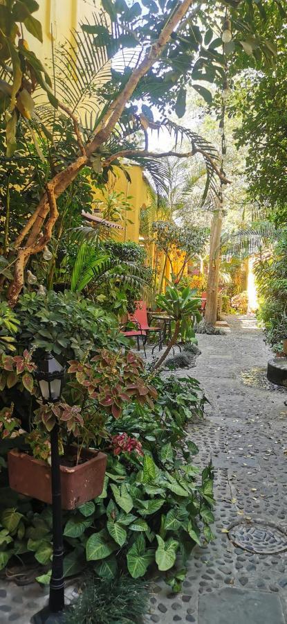 Bed & Breakfast Rosa Morada