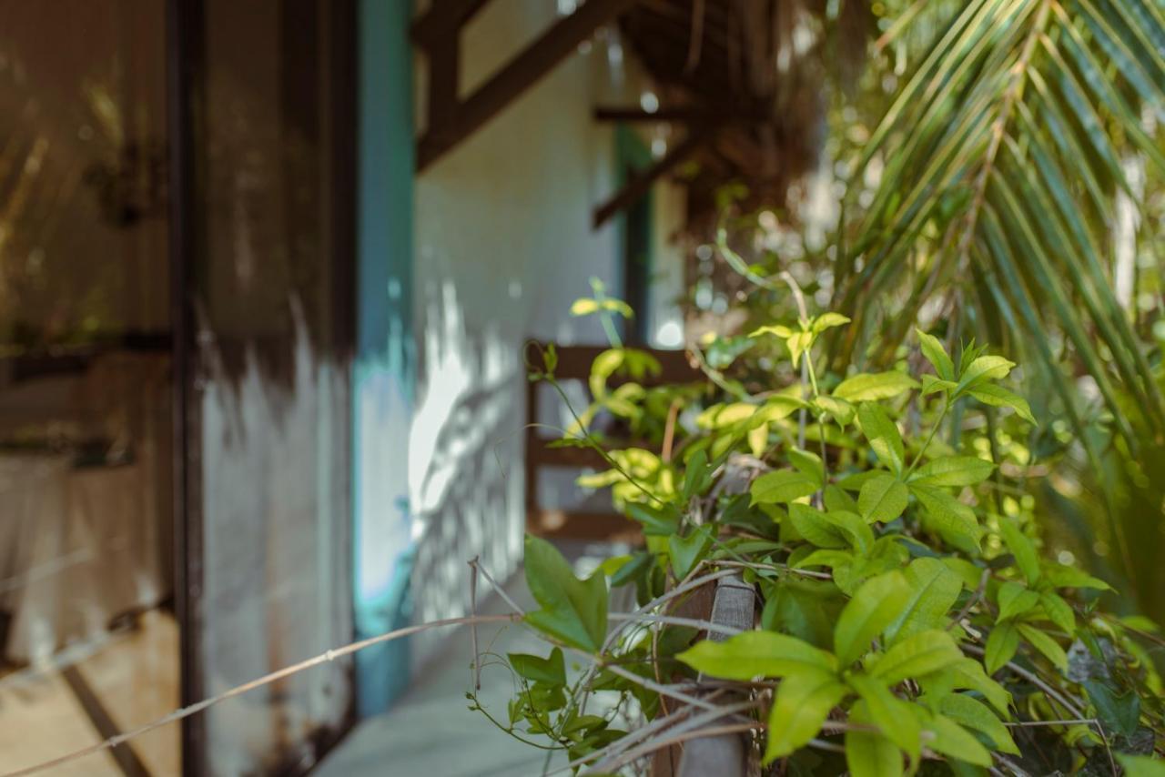 Tiburon 4* Isla Holbox
