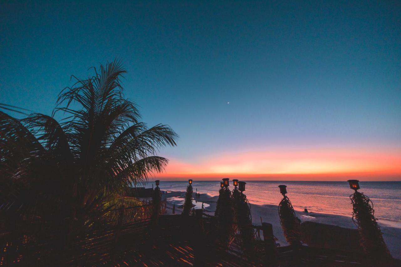 Tiburon 4* Isla Holbox