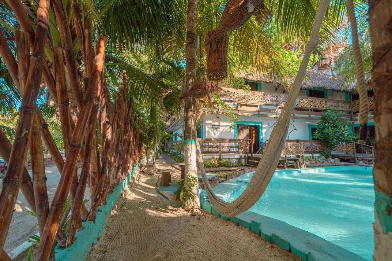 Tiburon Isla Holbox