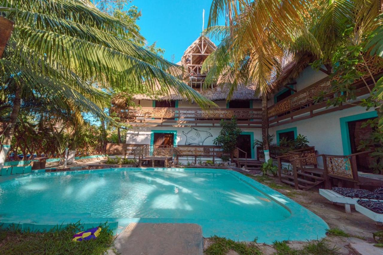 Tiburon Isla Holbox