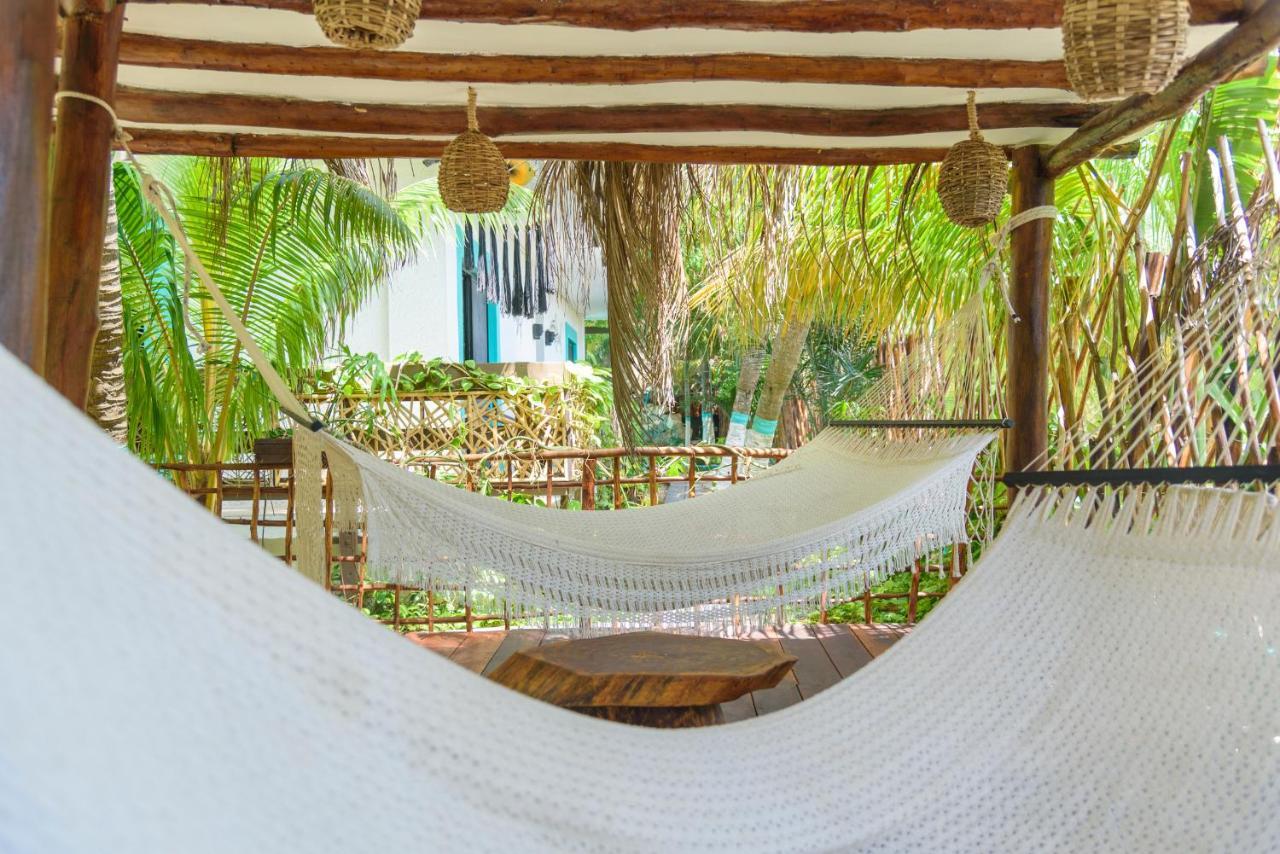 Tiburon Isla Holbox
