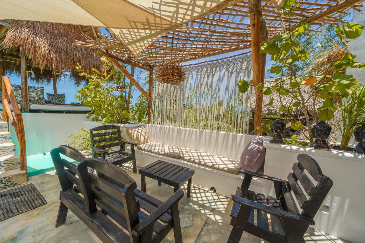 Tiburon Isla Holbox