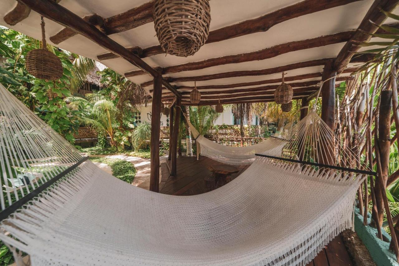 Tiburon Hotel Isla Holbox