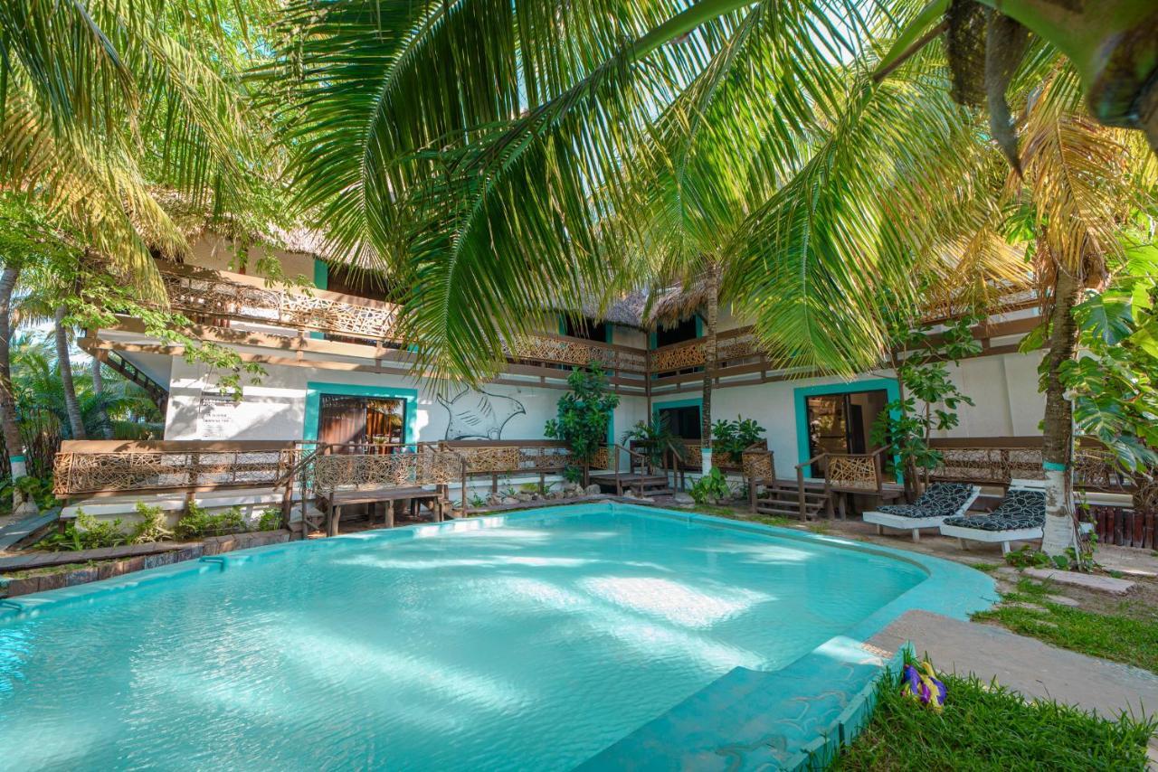 Tiburon Isla Holbox