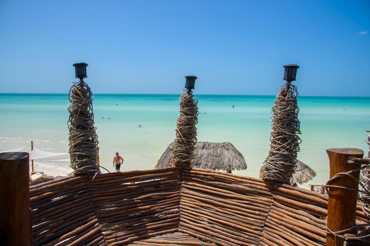 Tiburon Isla Holbox