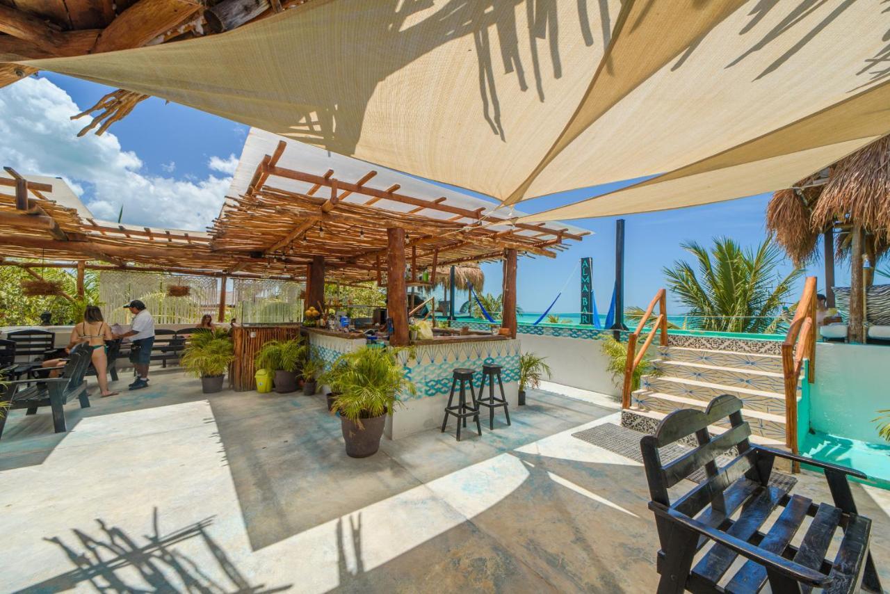 Tiburon Isla Holbox