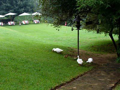 Hacienda Mariposas Hotel 5*