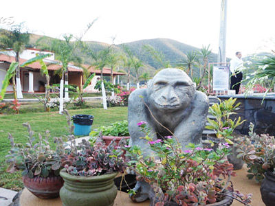 Jaras Parque Acuatico Y Temazcal