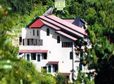 Forest Hotel 3*