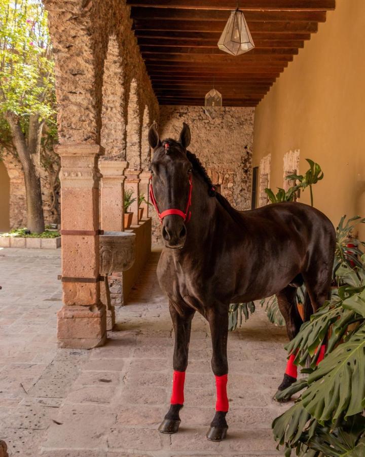 Hacienda El Salitre & 5* Queretaro
