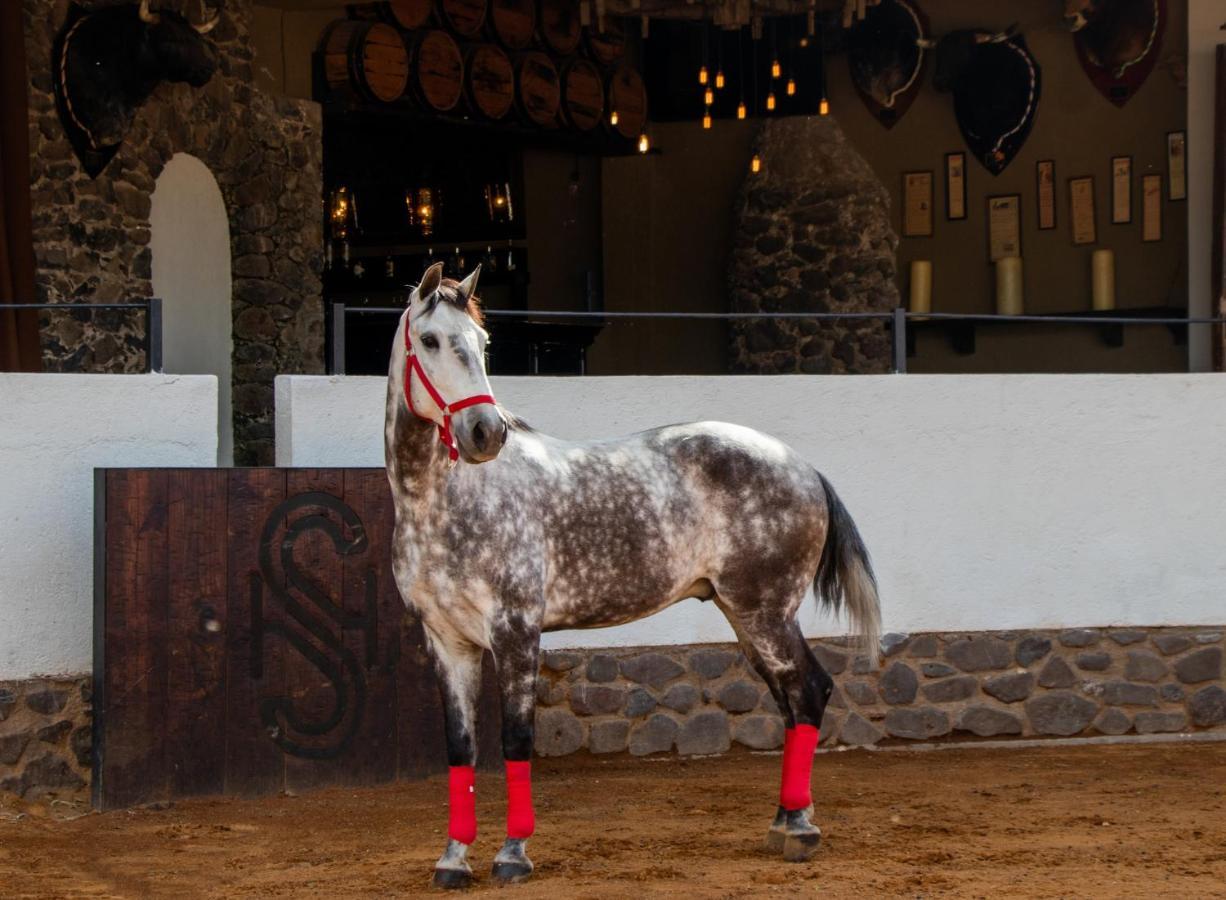 Hacienda El Salitre & Hotel 5*
