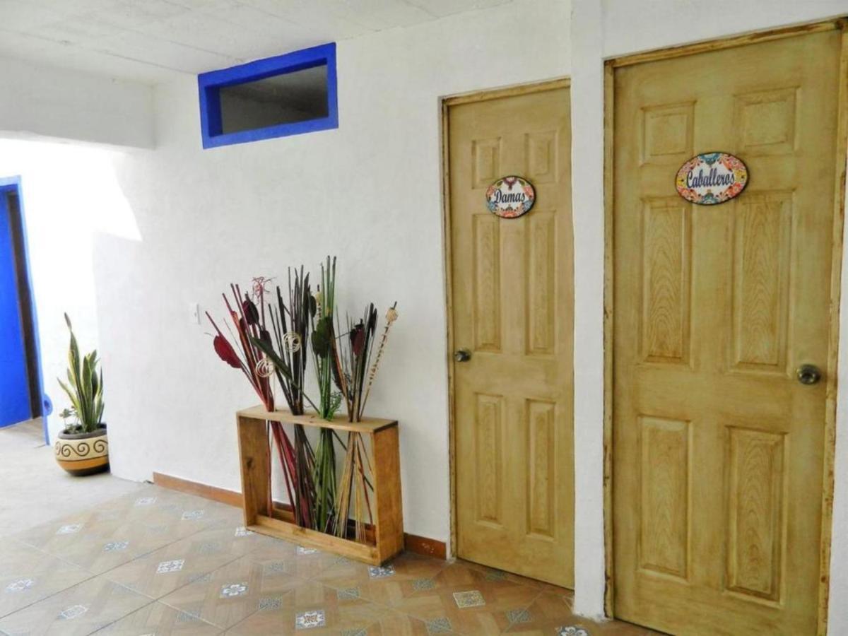 Hostel Ikali Monterrey