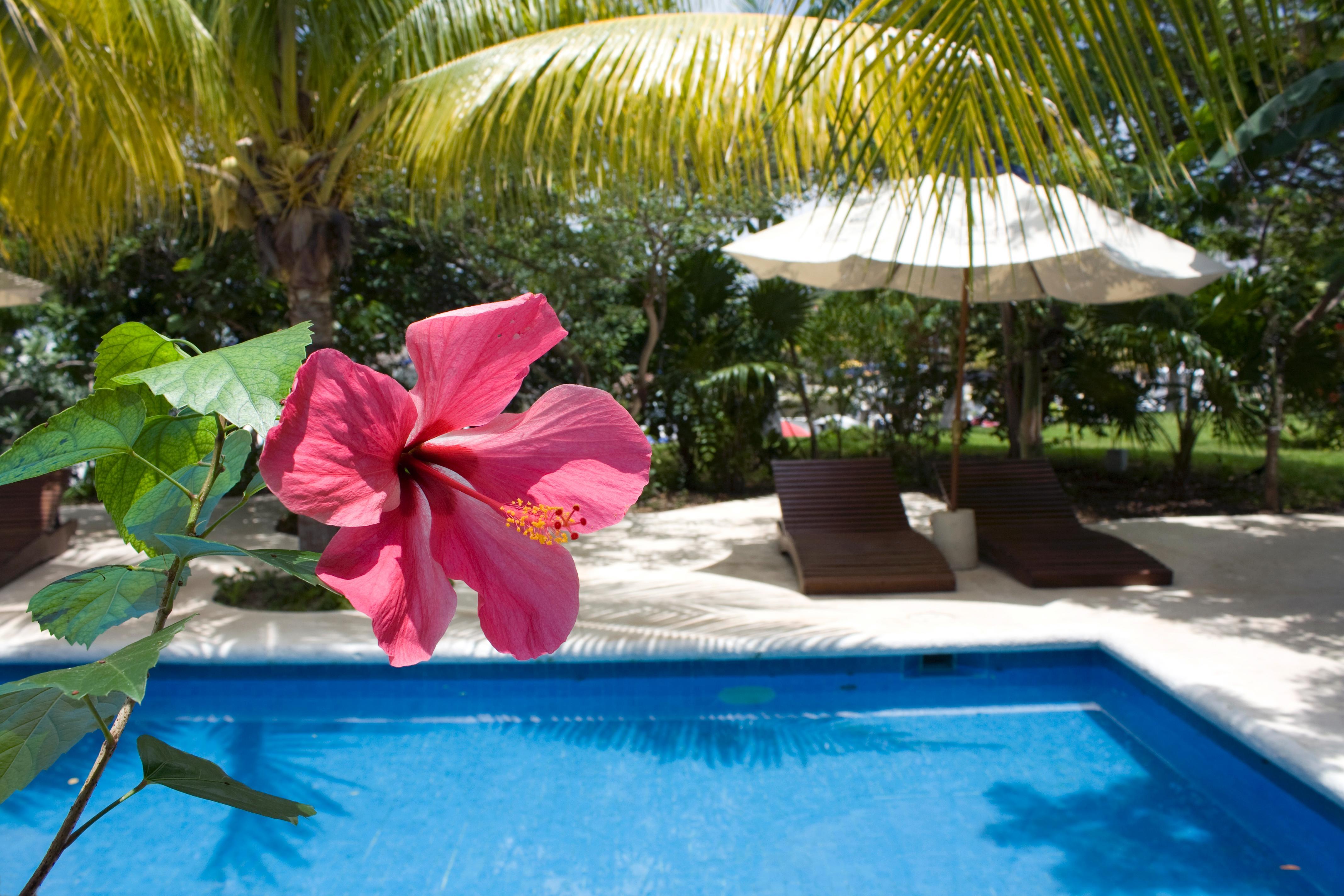 Sotavento & Yacht Club 3* Cancun