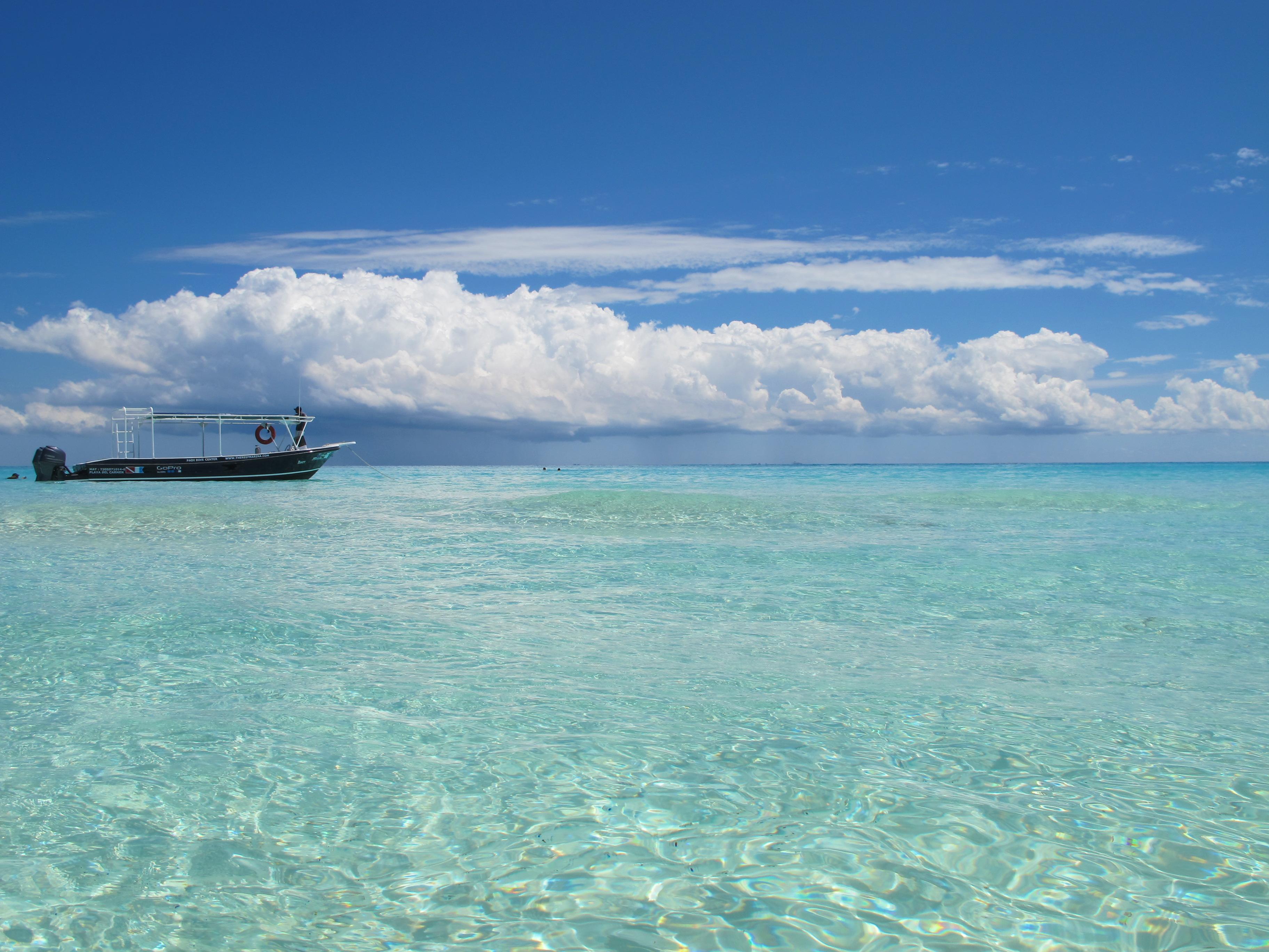 Resort The Reef Playacar & 4*
