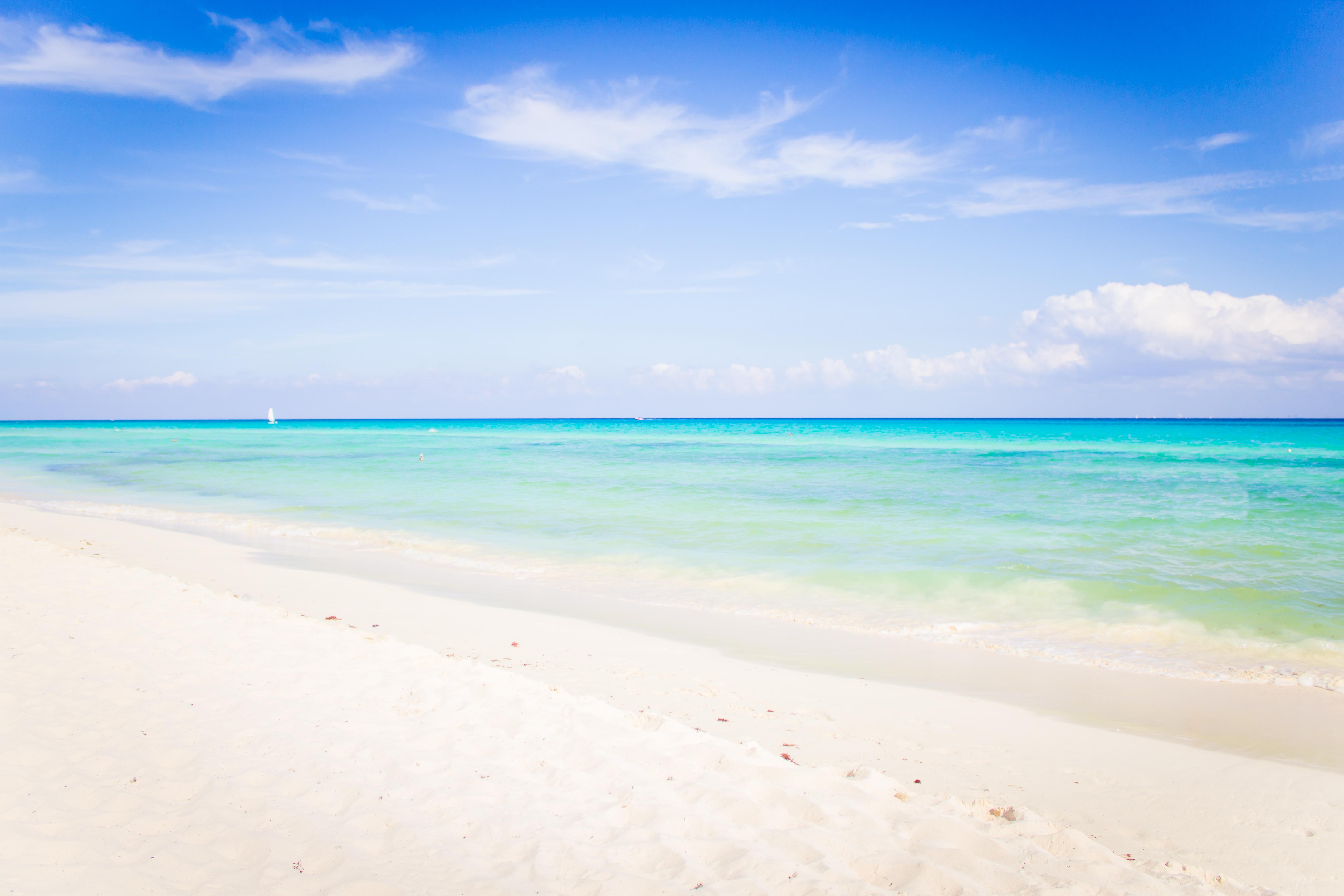 The Reef Playacar & Resort 4*