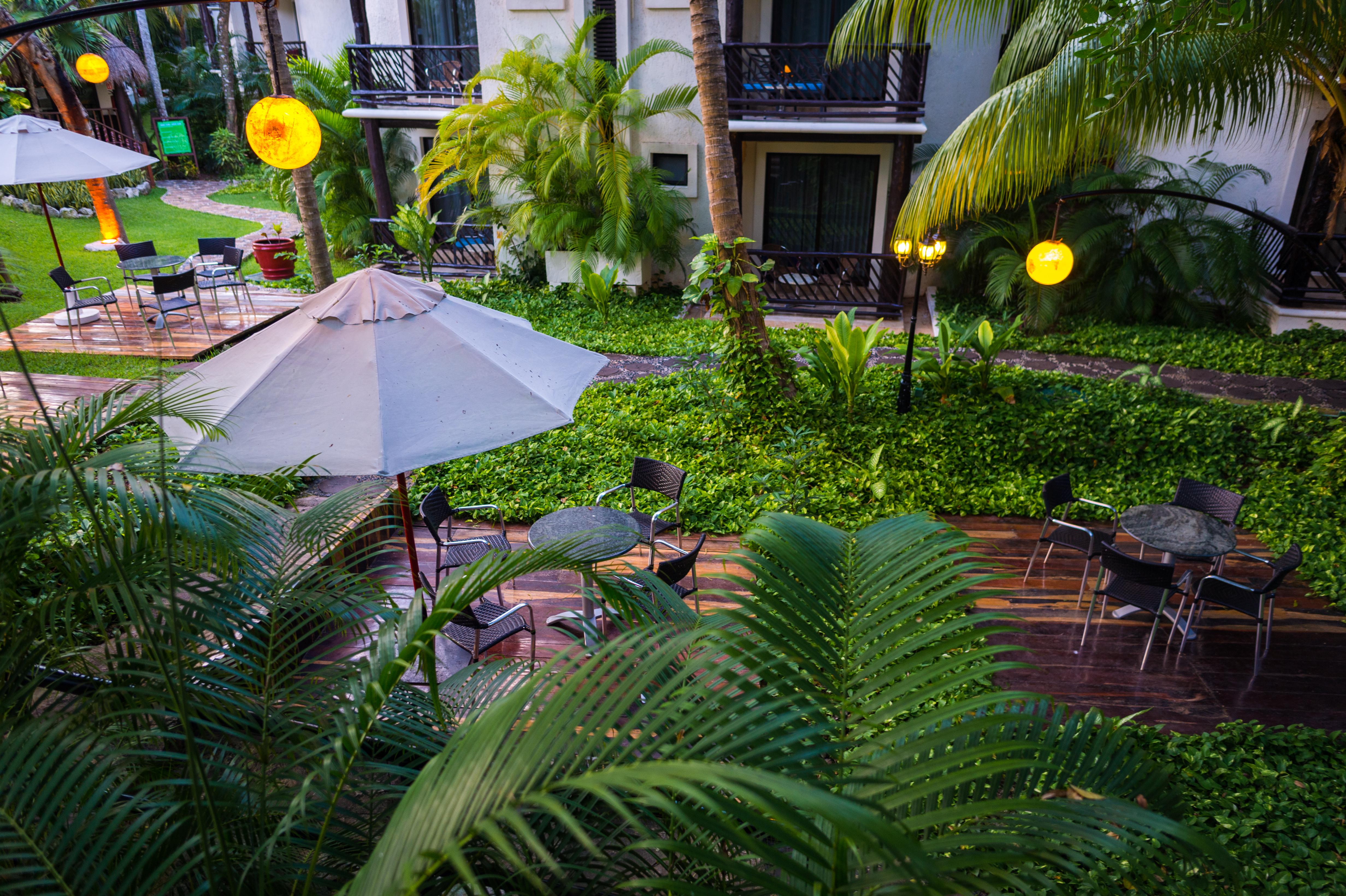 The Reef Playacar &