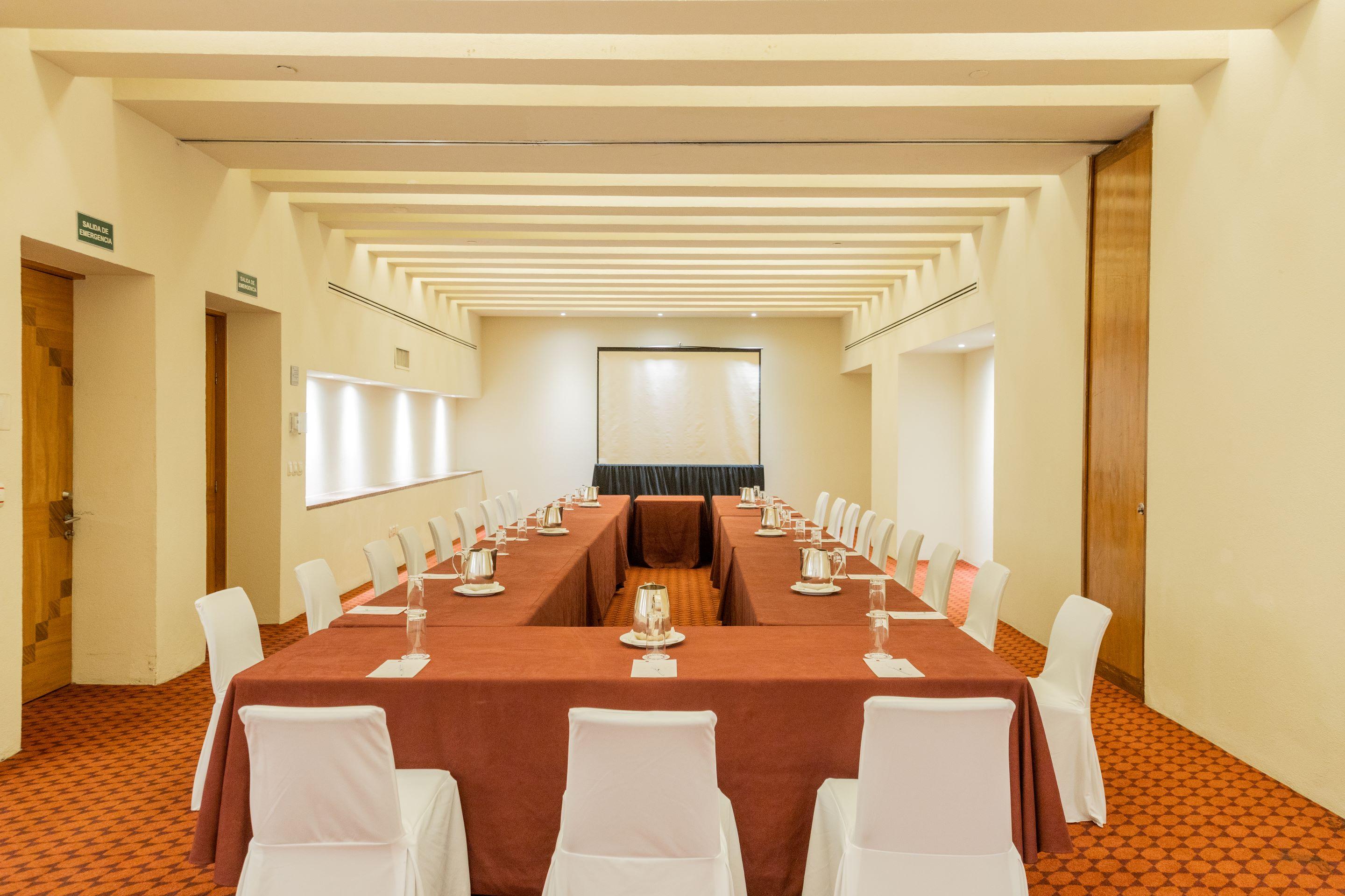 Camino Real Monterrey Hotel 5*