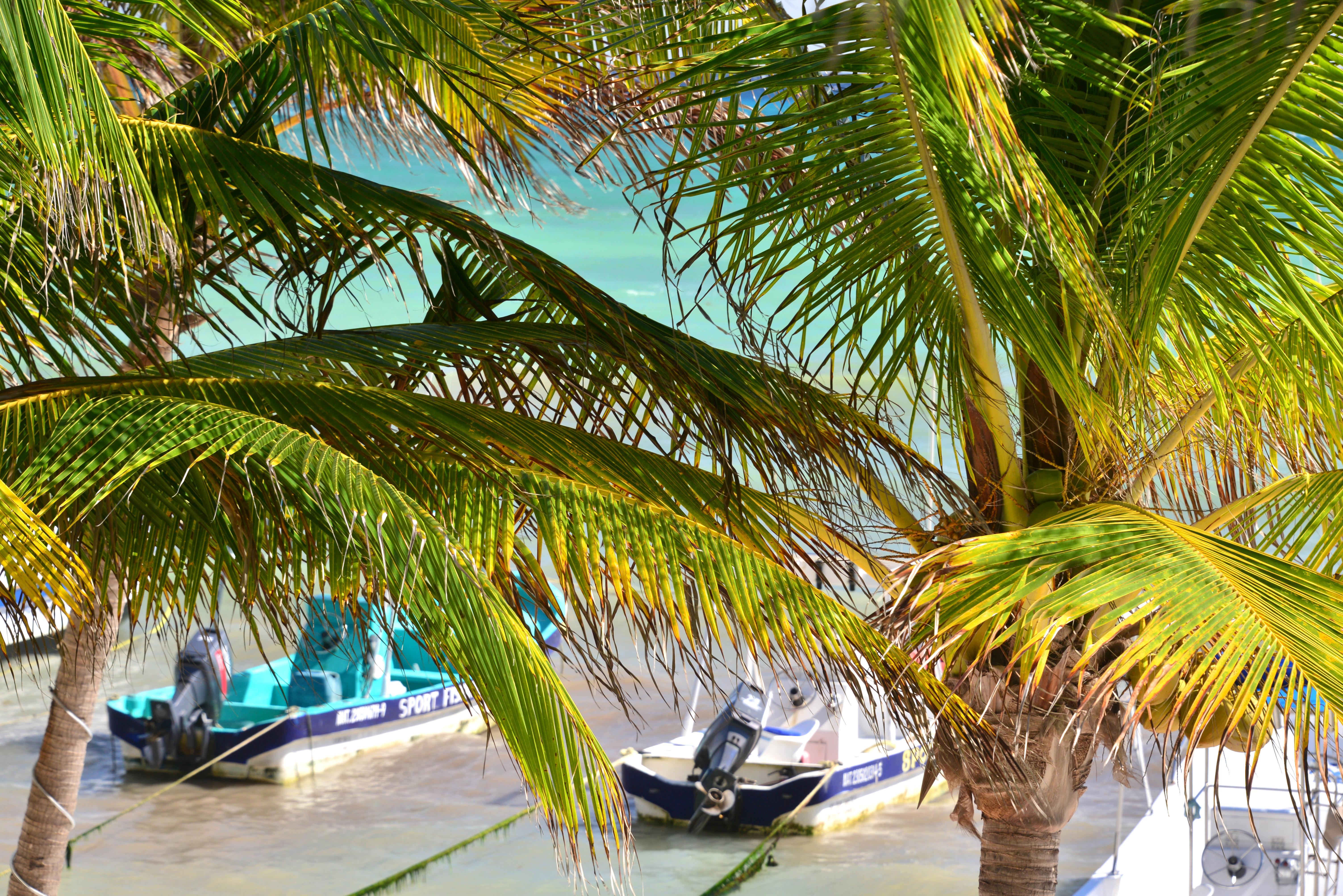 Playa Palms Playa del Carmen