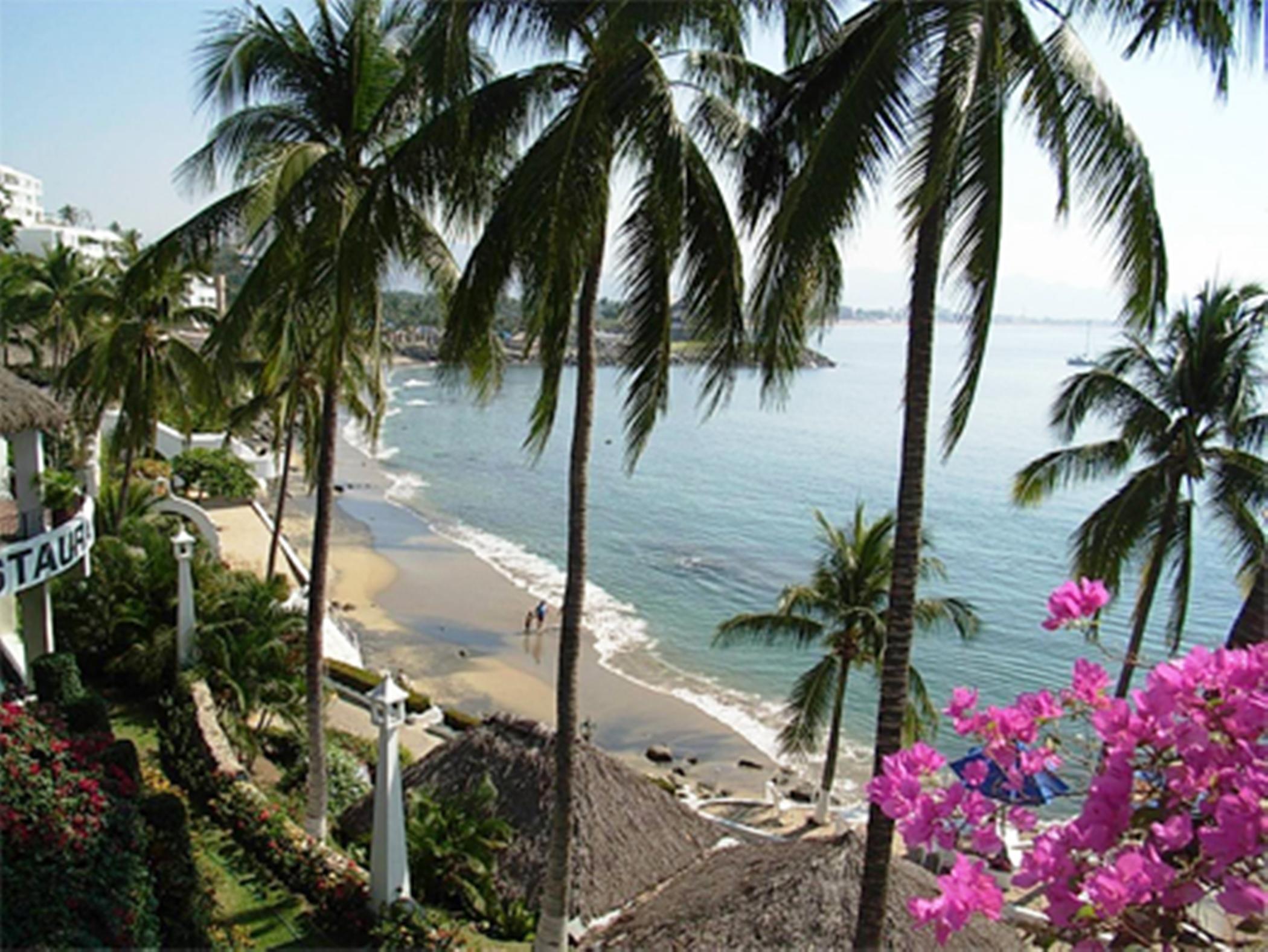 Dolphin Cove Aparthotel
