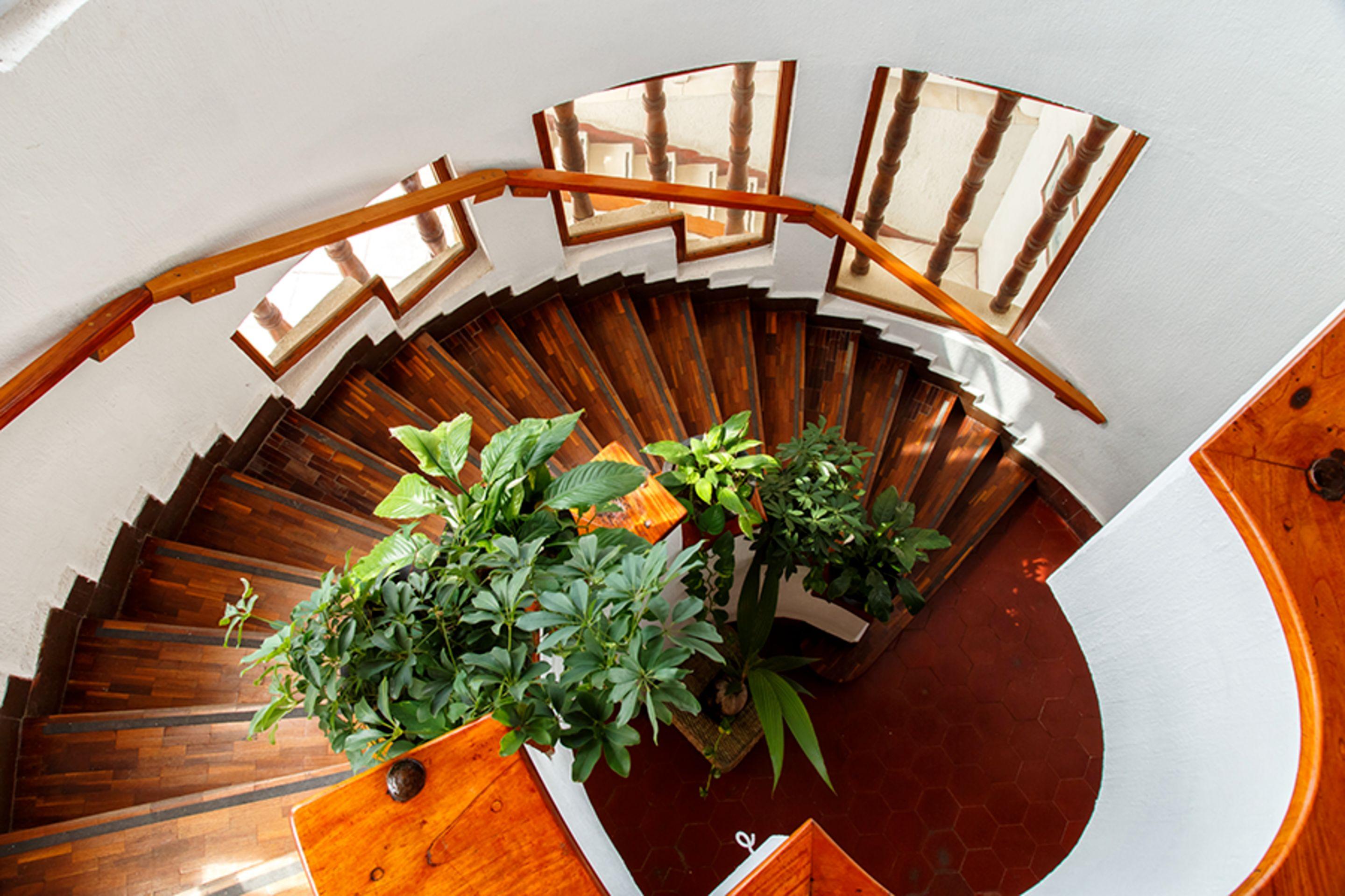 Hotel Collection O Mocambo, Boca Del Rio 5*