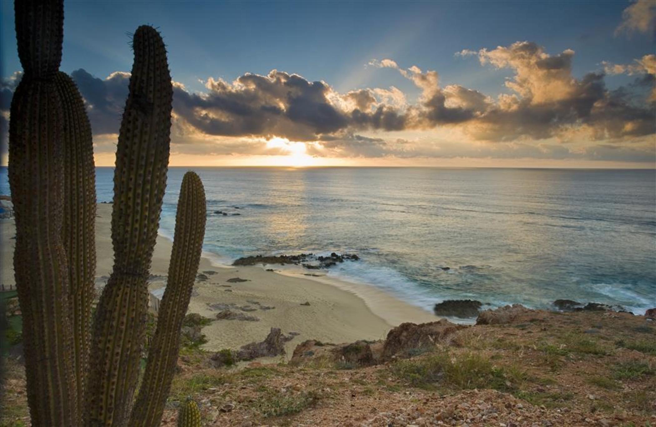 The Westin Cabos 5*