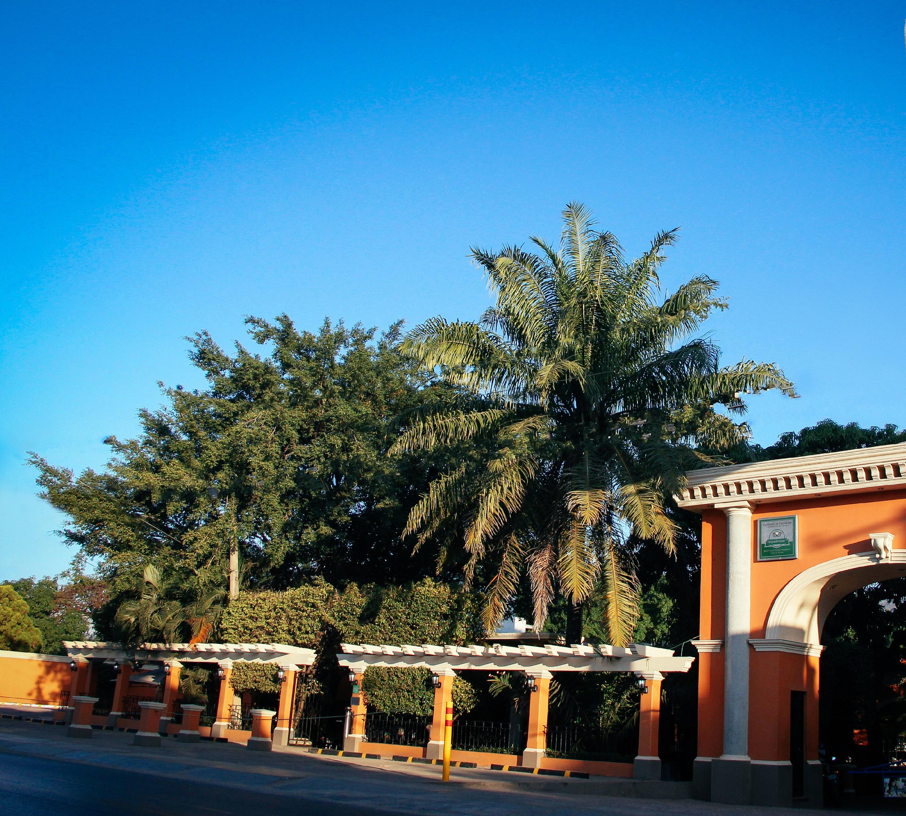 Palmareca Inn-suites-studio 4* Tuxtla Gutierrez