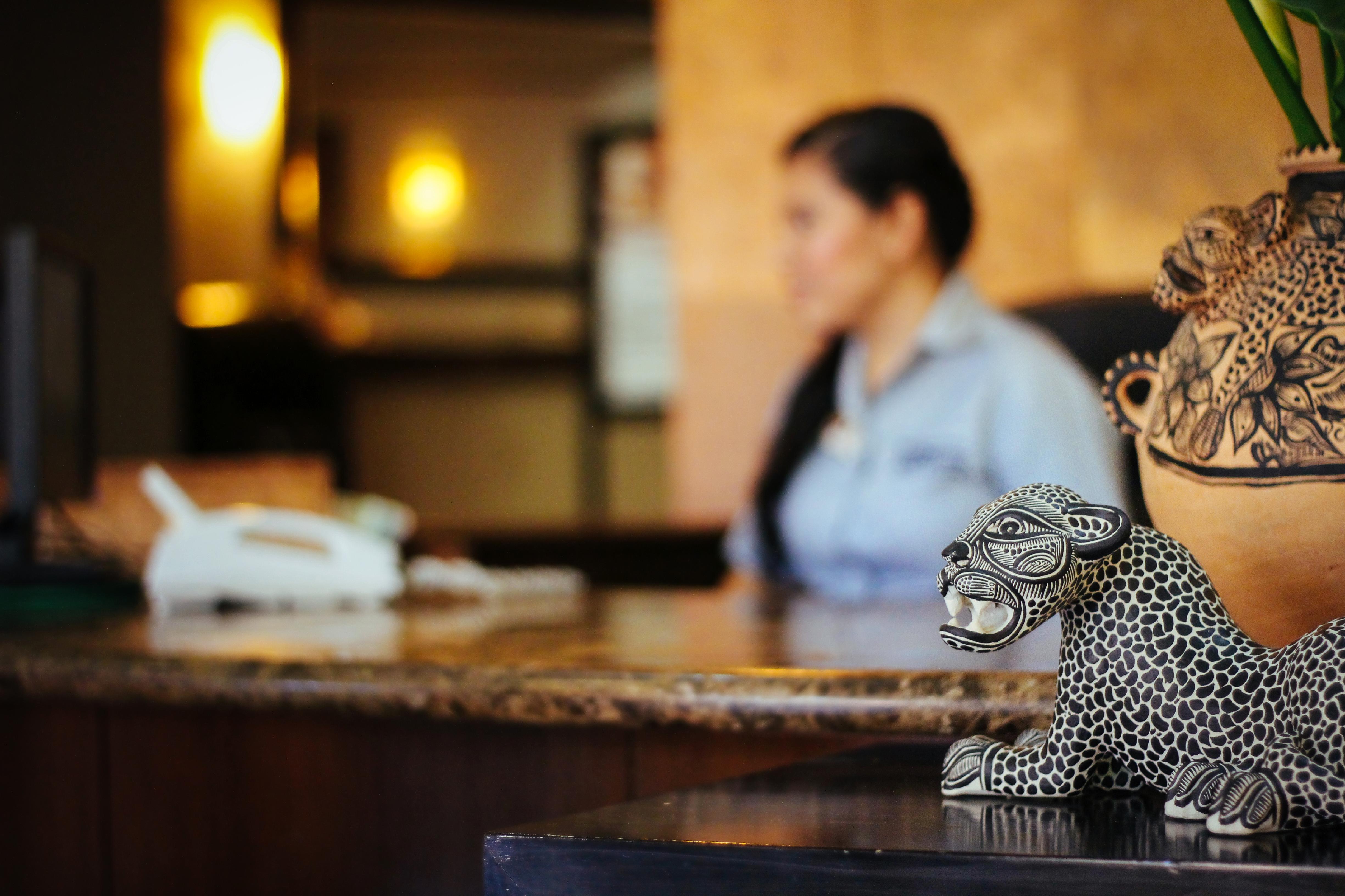 Palmareca Inn-suites-studio 4*