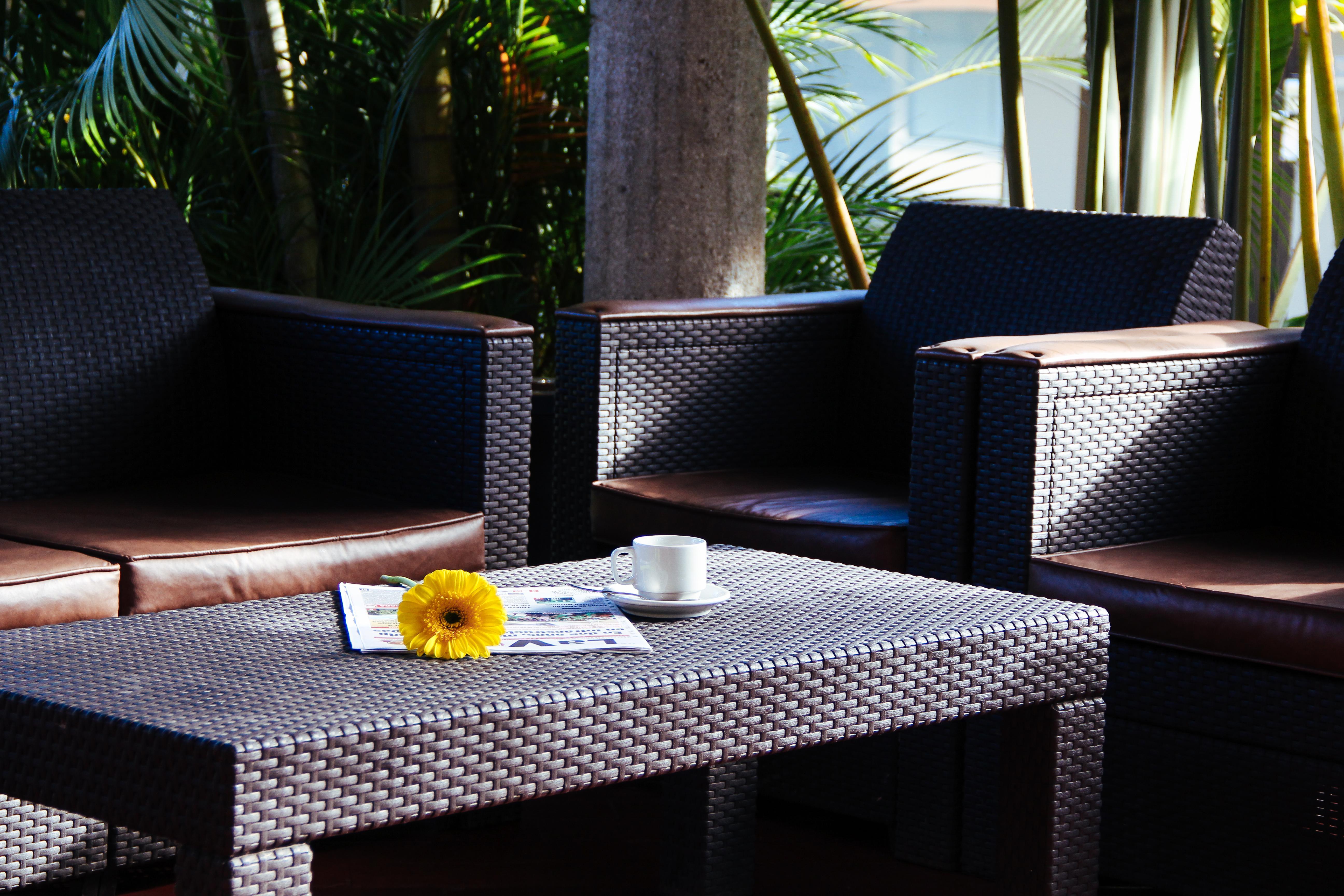 Palmareca Inn-suites-studio