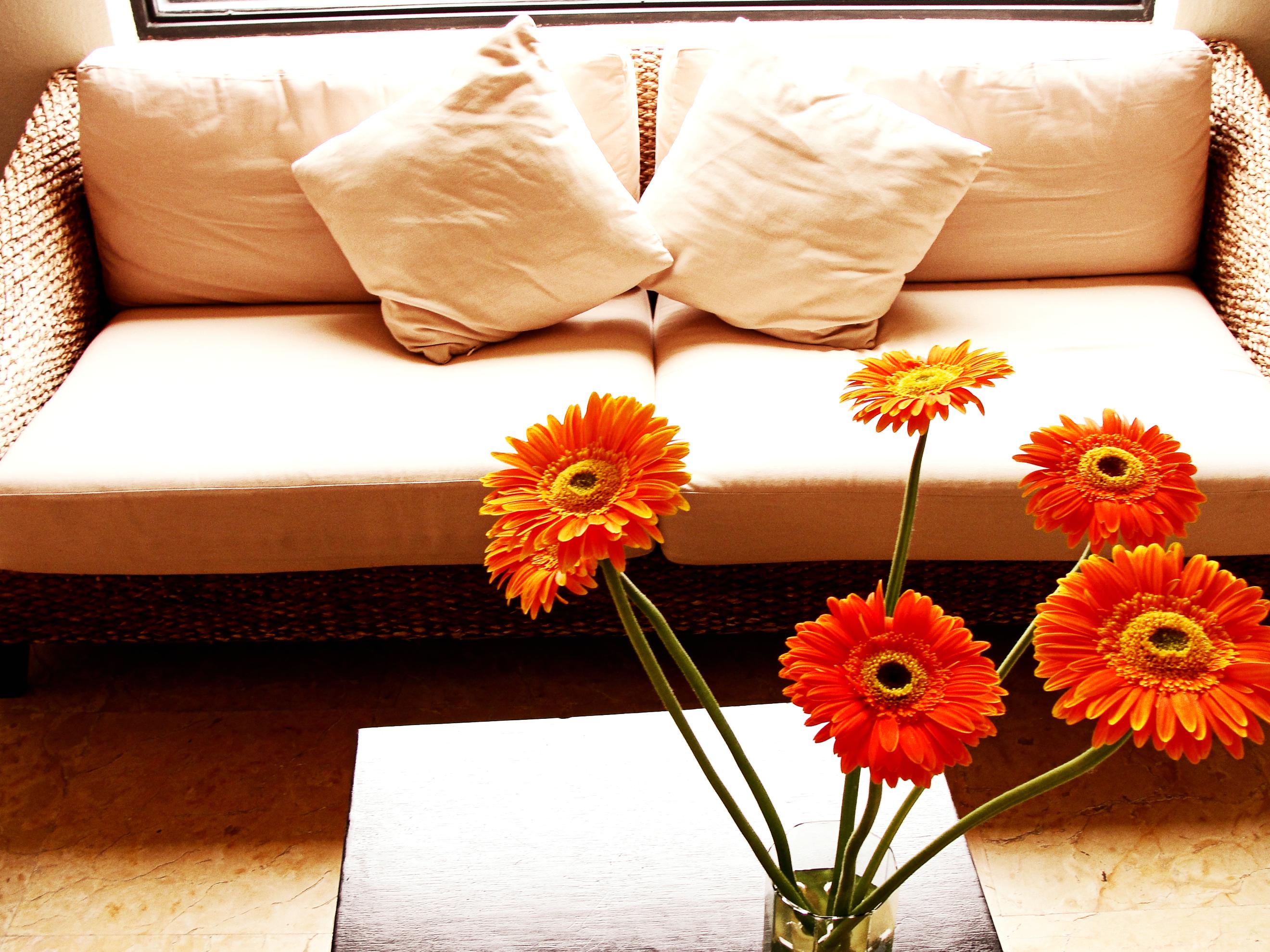 Palmareca Inn-suites-studio 4*